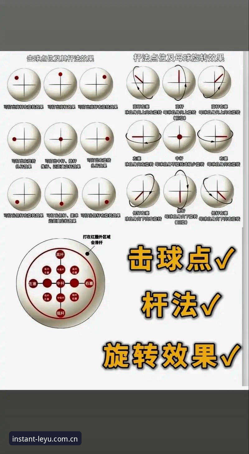 乐鱼体育官网教程最新动态：从入门到精通的完整操作指南